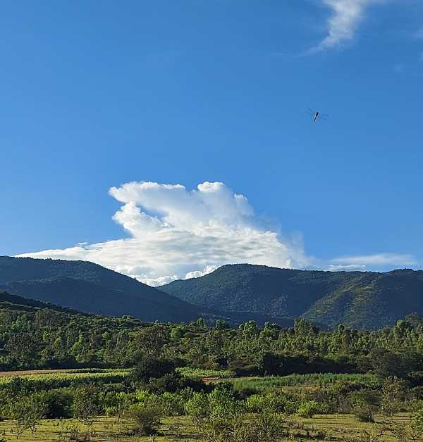 Nearing Chikmagalur - Pune to Chikmagalur Road Trip